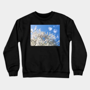 Cherry tree blossom Crewneck Sweatshirt